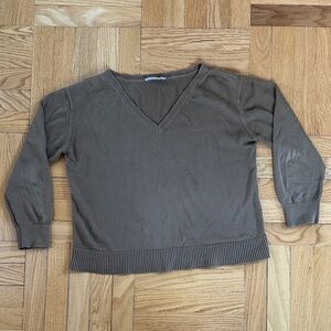 Everlane V-Neck Brown Sweater